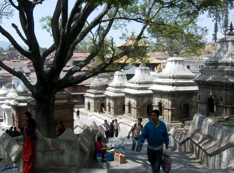 P1000453