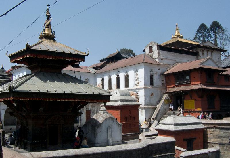 P1000461