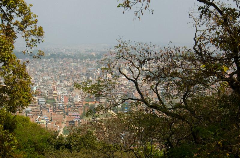 P1000367