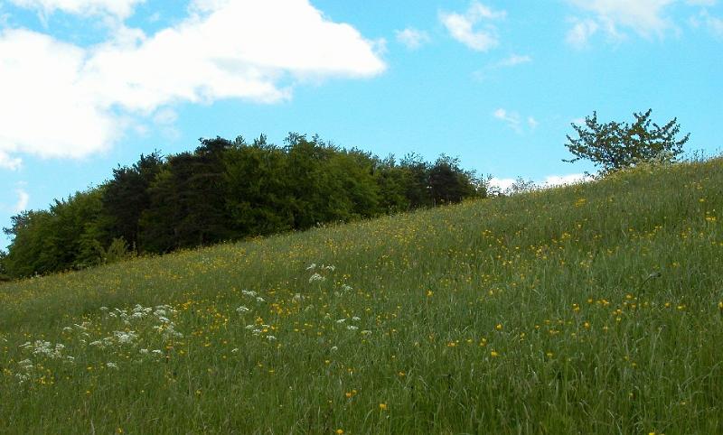 Natur02