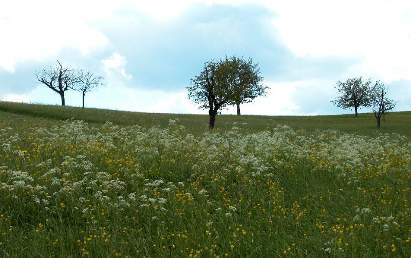 Natur03
