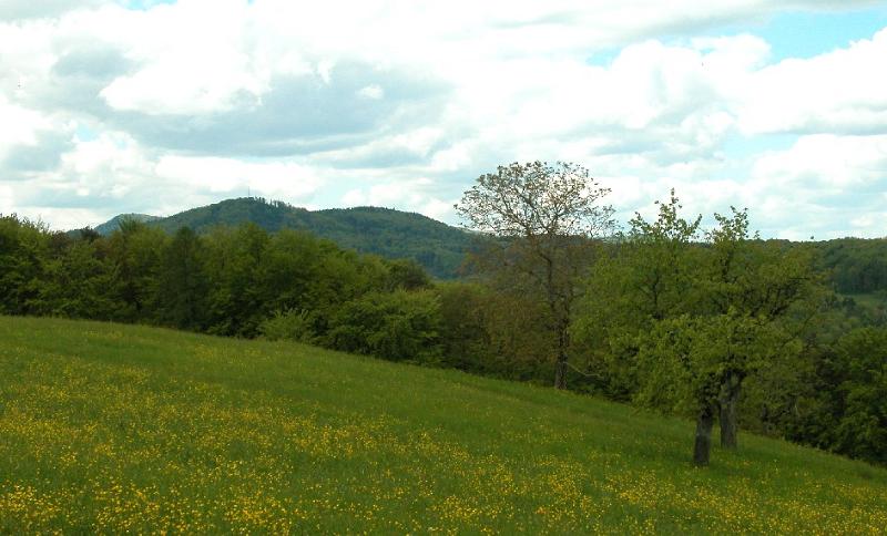 Natur05