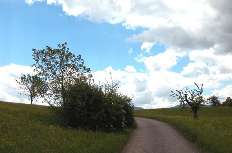 Natur06