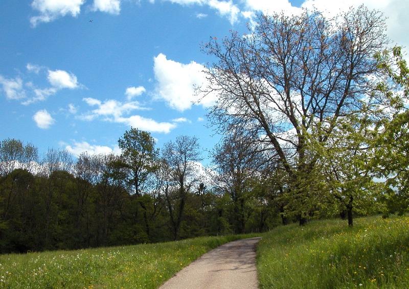 Natur09