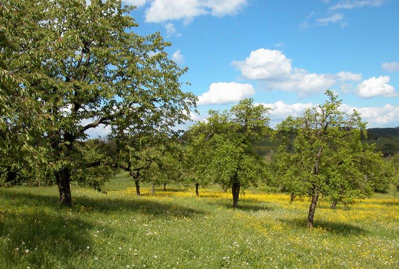 Natur11