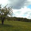 Natur04