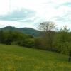 Natur05