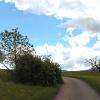 Natur06