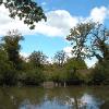 Natur08