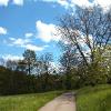 Natur09