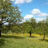 Natur11