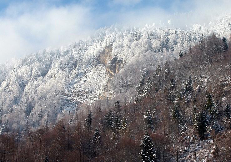 Landschaft01