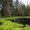 Etang