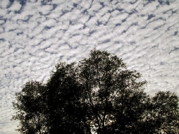 Wolken
