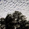 Wolken