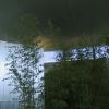 Dach7
