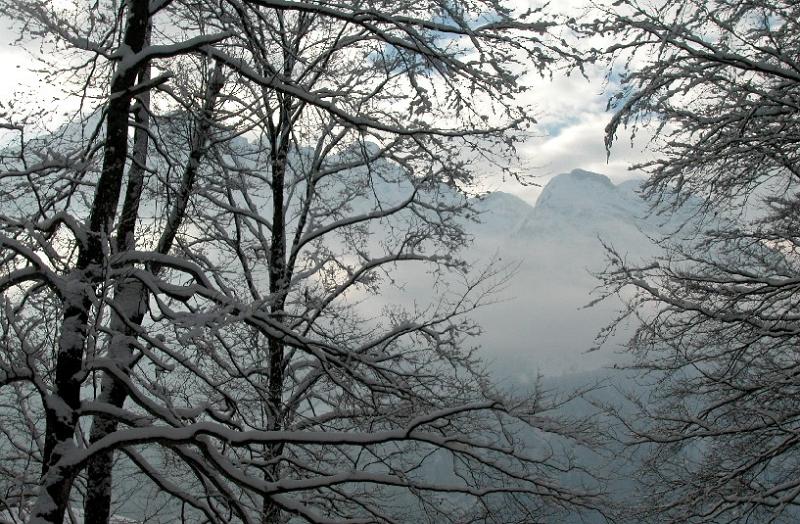 Landschaft05