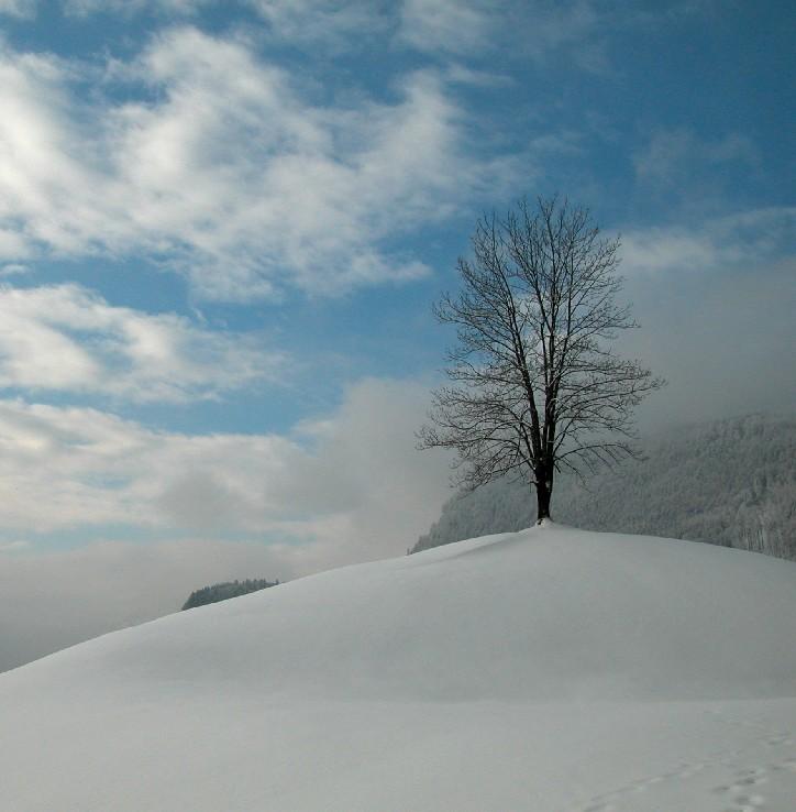 Landschaft07