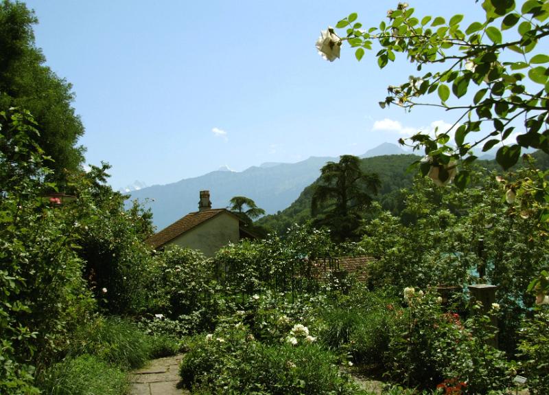 Spiez08