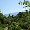 Spiez08