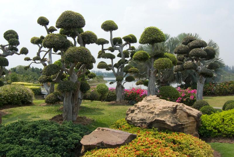 P1010050