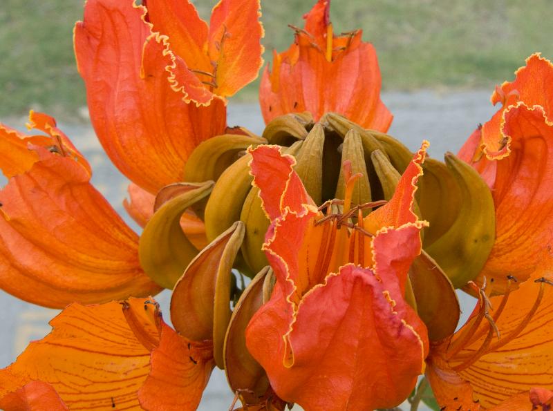 P1010052