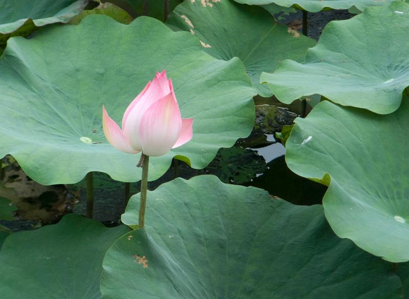 P1010056