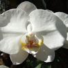 DSCF0034