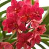 DSCF0041
