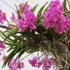 DSCF0042