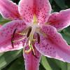 DSCF0050