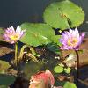 DSCF0054