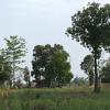 DSCF0925