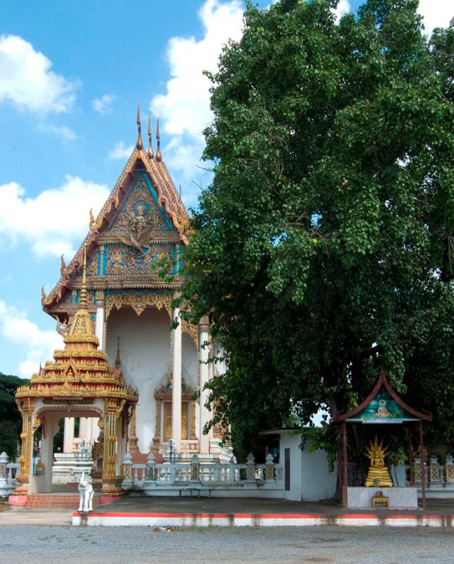 P1000578
