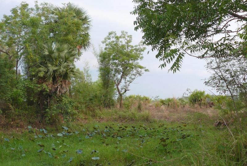 P1010054