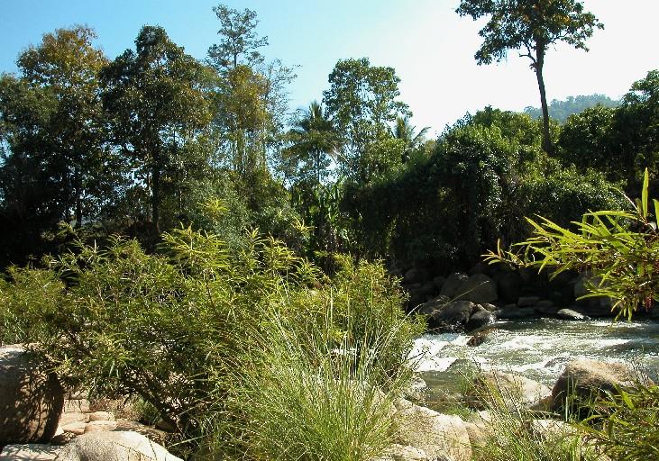 Fluss11