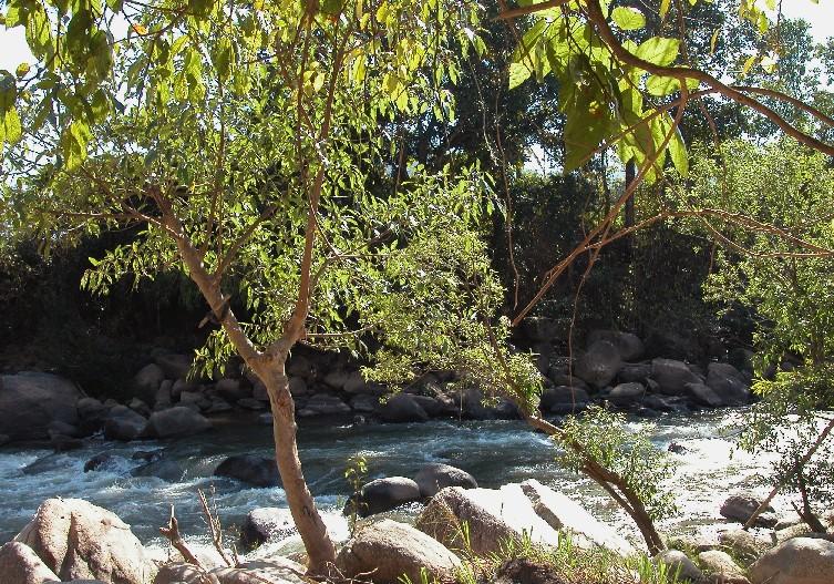 Fluss13