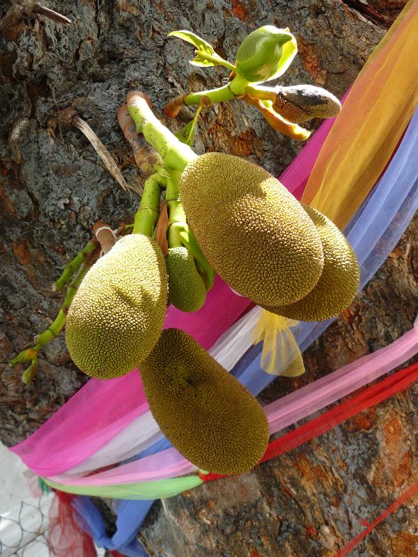 P1020517