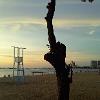 0613 Beach 2