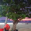 0115_Strand